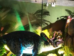 -恐龙探索乐园(磁器口店)