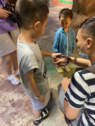 -酷嗒动物文化乐园(cutezoo西溪乐天城店)