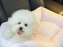 -小猫来了·猫舍(红山六九七九店)