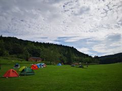 -武陵山森林公园