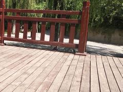 -西安市长乐公园