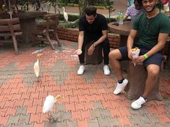 -吉隆坡雀鸟公园