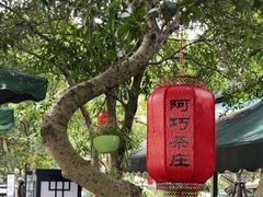 -阿巧茶庄