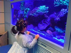 -KIDults童伴儿亲子餐厅(达美中心广场店)
