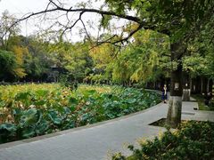 -四川大学(华西校区)