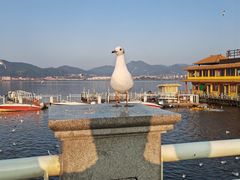 -海埂大坝