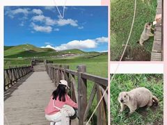 -黄河九曲第一湾