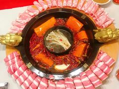 -大龍火锅(簋街店)