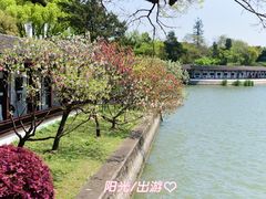 -无锡蠡湖国家湿地公园-蠡园