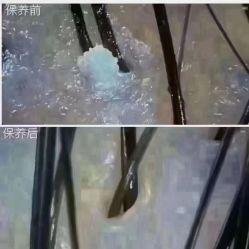 -诗碧曼养发