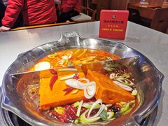 -渝大龙重庆火锅(温泉月亮湾店)