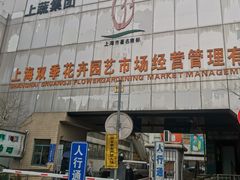 -双季花艺园艺市场(浦东店)