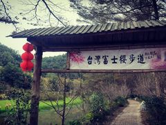 -田野绿世界
