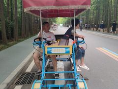 -日照海滨国家森林公园