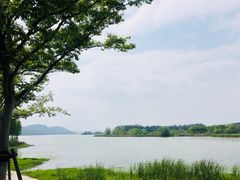 -东湖落雁景区