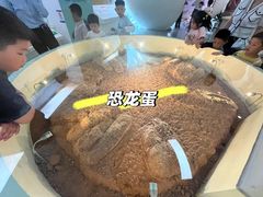 -安徽省地质博物馆