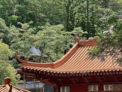 -梧桐庄园
