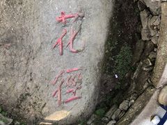 -庐山风景区花径公园