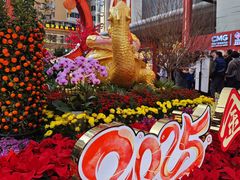-越秀西湖花市(广州城市广场花卉店)
