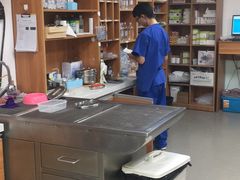 -宠福鑫动物医院·动物疾病诊疗中心(天通苑店)