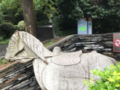 -上海佘山国家森林公园西佘山园