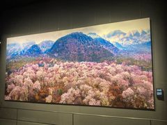 -罗红摄影艺术馆