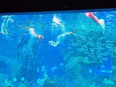 -波塞冬旅游度假区