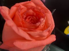 -三圣花乡旅游区