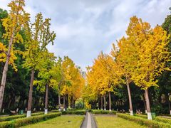 -苏州河梦清园环保主题公园