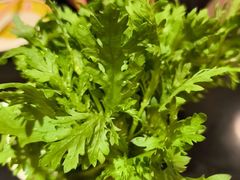 -芦月轩羊蝎子(劲松店)
