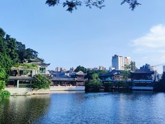 -荔湾湖公园