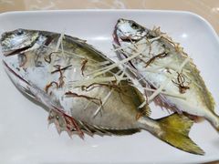 泥猛鱼-海大大蒸汽海鲜餐厅·粤菜·特色小炒(欢乐颂店)