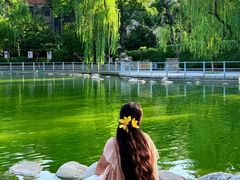 -莲湖公园