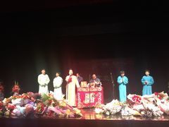 -合肥大剧院
