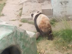 -太原动物园