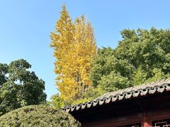 -秋霞圃