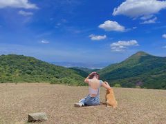-大姆山草场