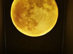 -武汉5D星空错觉艺术馆(中心百货店)