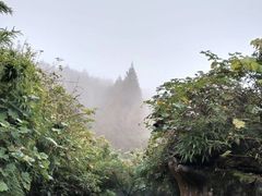 -山王坪喀斯特国家生态公园