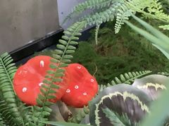 -首开·龙湖成都西宸天街
