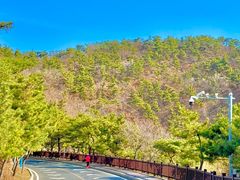 -燕窝岭