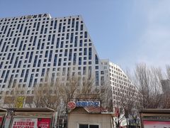 -奥体中心(地铁站)