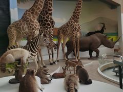 -陕西自然博物馆