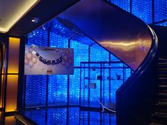 -维尼亚KTV(郴州店)