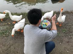 -大宁灵石公园西门票处