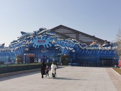 -石家庄极地海洋世界