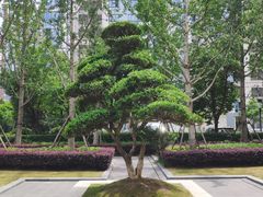 -新城控股新总部大楼