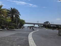 -宝安西湾红树林湿地公园