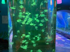 -顺德南宏海立方海洋公园