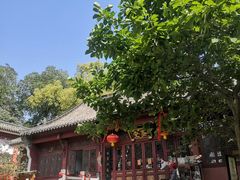-长春观